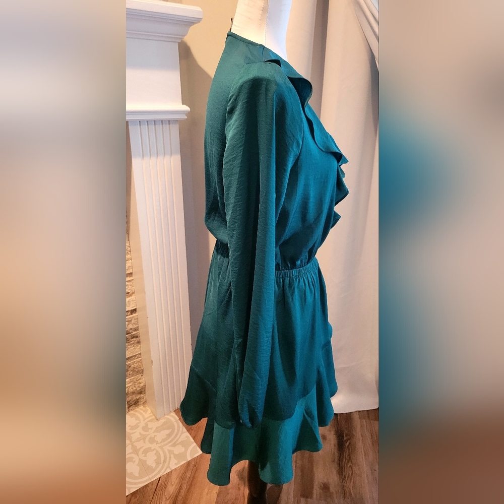 Express Dress - Picture 4 of 4